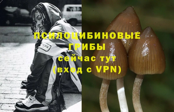 прущая мука Алзамай